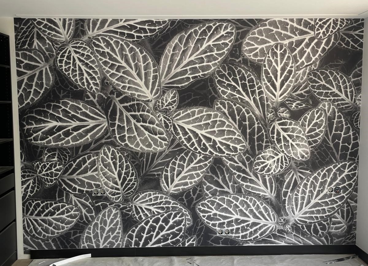 WhatsApp Image 2024-12-19 at 11.25.11